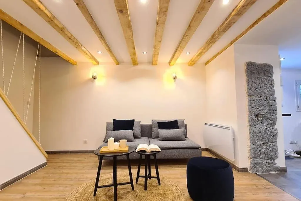 Magnifique Duplex, Tout Confort, 10Min A Pied Gare Grenoble France