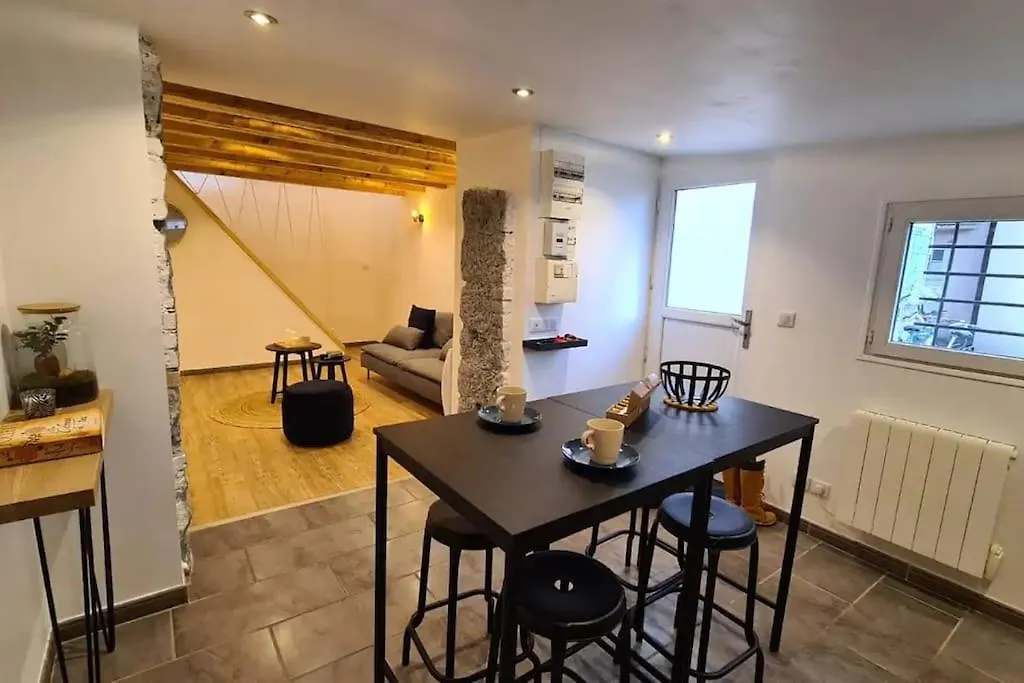 Magnifique Duplex, Tout Confort, 10Min A Pied Gare Grenoble Apartment